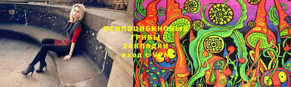 СК Мегион