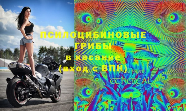 СК Мегион