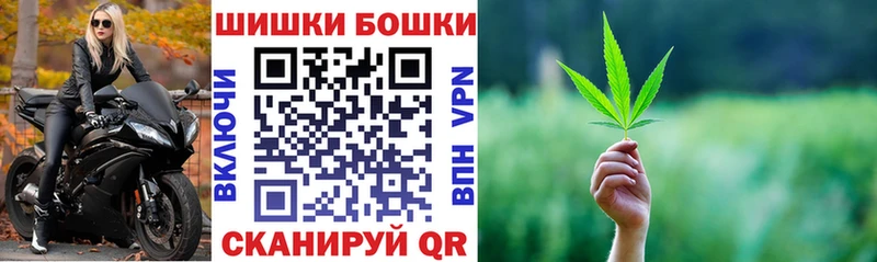 где купить   Зубцов  Канабис Bruce Banner 